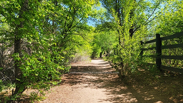 Paseo del Bosque Trail