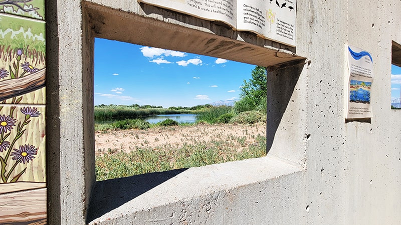 Observation window at the Rio Grande Nature Center